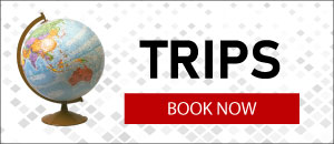 Go Travel Deals